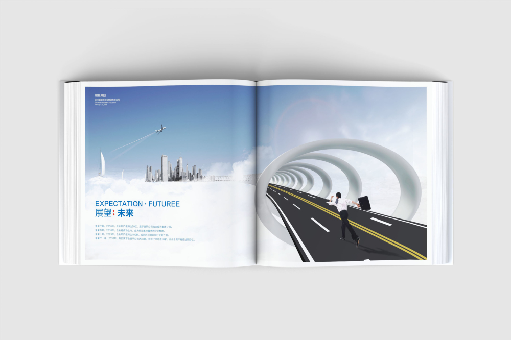 赞皇县画册设计